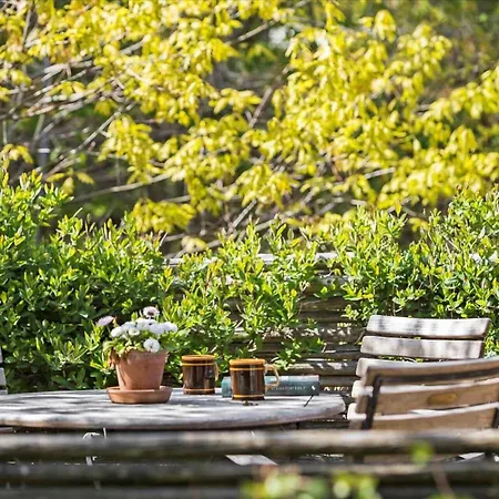 Dom wakacyjny 1521-aakirkeby-lyngvejen-7